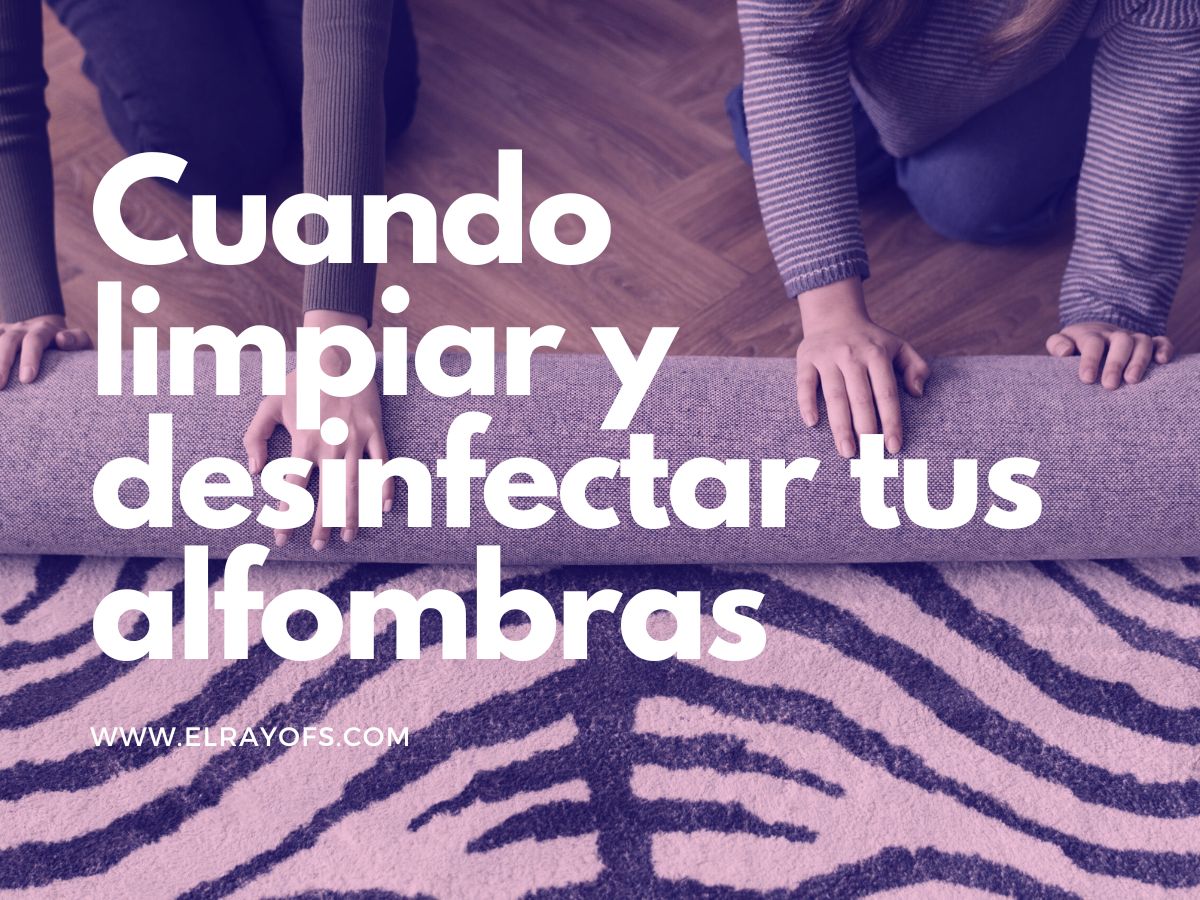 Servicio de Limpieza de Alfombras y desinfección El Rayo