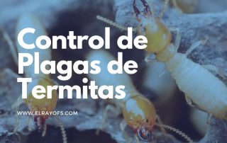 Control de Plagas de Termitas