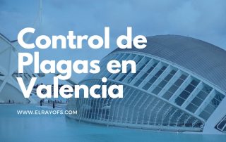 Control de Plagas en Valencia