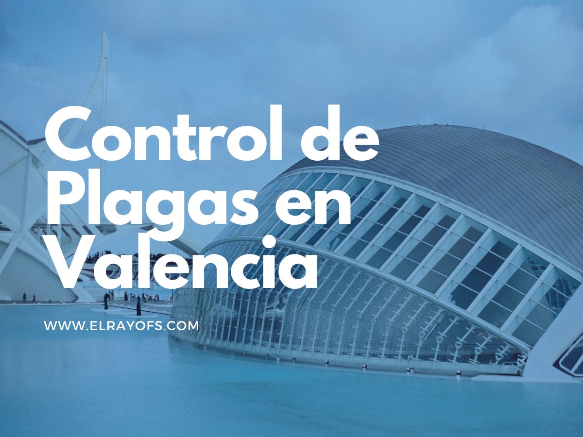 Control de Plagas en Valencia
